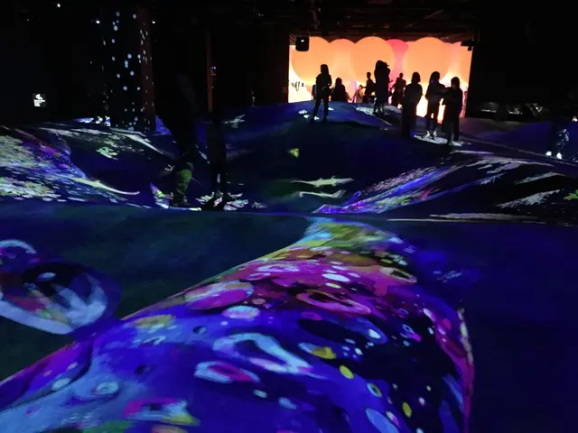 【閉業】森ビルデジタルアートミュージアム：エプソン チームラボボーダレス（MORI Building Digital Art Museum: EPSON teamLab Borderless）