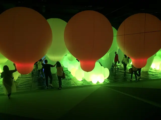 【閉業】森ビルデジタルアートミュージアム：エプソン チームラボボーダレス（MORI Building Digital Art Museum: EPSON teamLab Borderless）