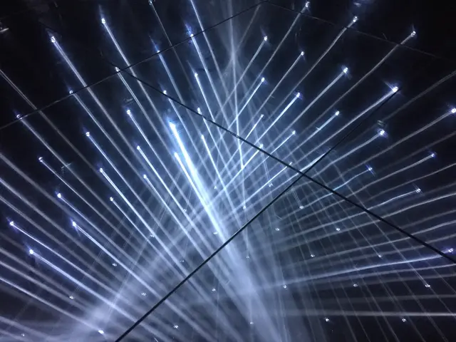 【閉業】森ビルデジタルアートミュージアム：エプソン チームラボボーダレス（MORI Building Digital Art Museum: EPSON teamLab Borderless）