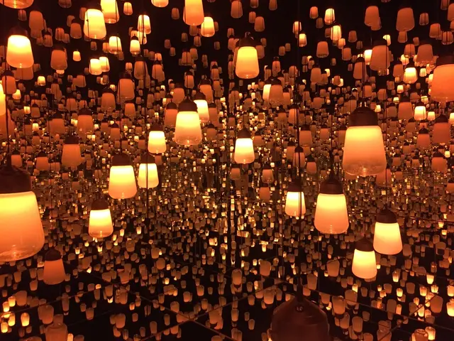 【閉業】森ビルデジタルアートミュージアム：エプソン チームラボボーダレス（MORI Building Digital Art Museum: EPSON teamLab Borderless）