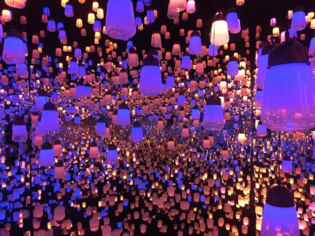 【閉業】森ビルデジタルアートミュージアム：エプソン チームラボボーダレス（MORI Building Digital Art Museum: EPSON teamLab Borderless）