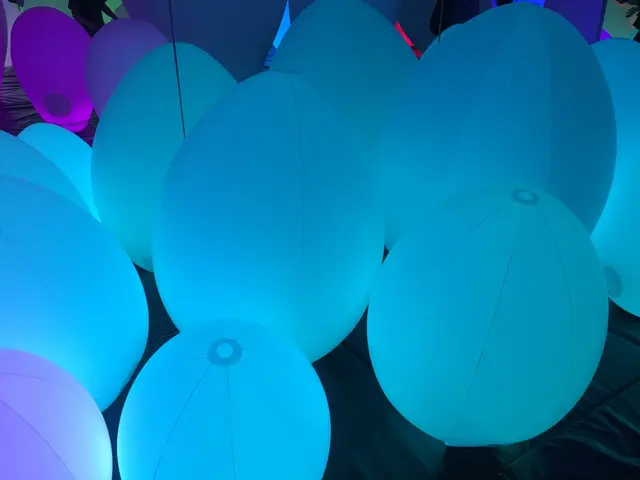 【閉業】森ビルデジタルアートミュージアム：エプソン チームラボボーダレス（MORI Building Digital Art Museum: EPSON teamLab Borderless）