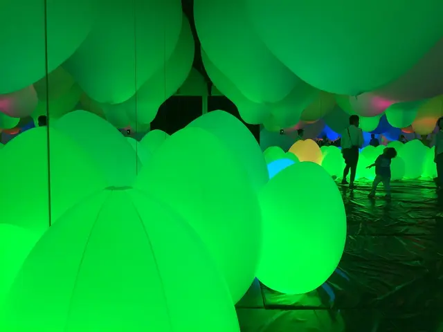 【閉業】森ビルデジタルアートミュージアム：エプソン チームラボボーダレス（MORI Building Digital Art Museum: EPSON teamLab Borderless）