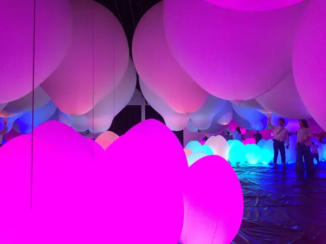【閉業】森ビルデジタルアートミュージアム：エプソン チームラボボーダレス（MORI Building Digital Art Museum: EPSON teamLab Borderless）