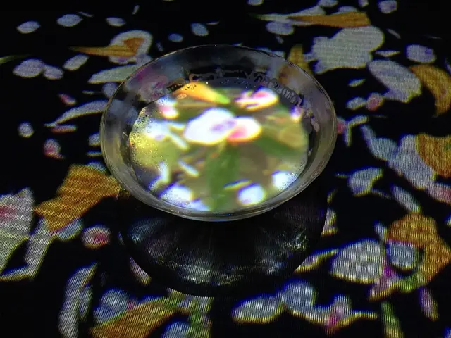 【閉業】森ビルデジタルアートミュージアム：エプソン チームラボボーダレス（MORI Building Digital Art Museum: EPSON teamLab Borderless）