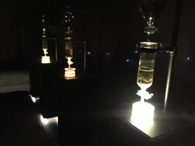 【閉業】森ビルデジタルアートミュージアム：エプソン チームラボボーダレス（MORI Building Digital Art Museum: EPSON teamLab Borderless）