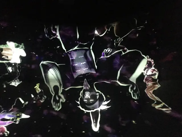 【閉業】森ビルデジタルアートミュージアム：エプソン チームラボボーダレス（MORI Building Digital Art Museum: EPSON teamLab Borderless）