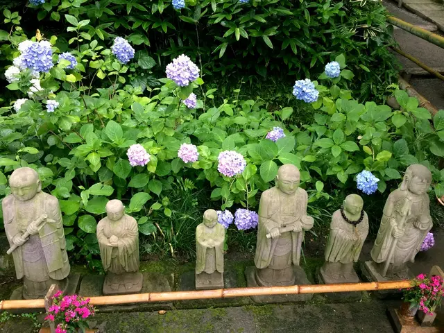 明月院（あじさい寺）