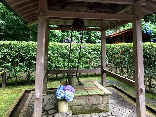 明月院（あじさい寺）