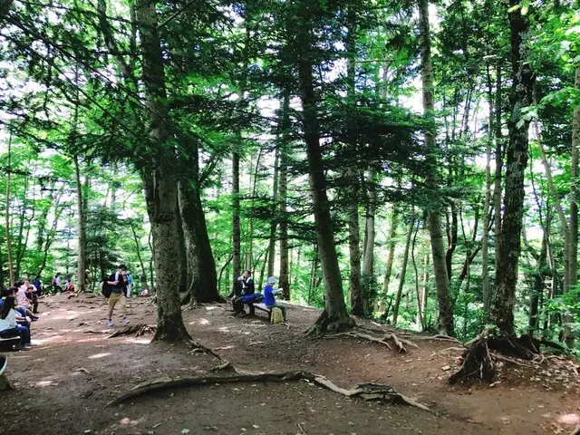 高尾山
