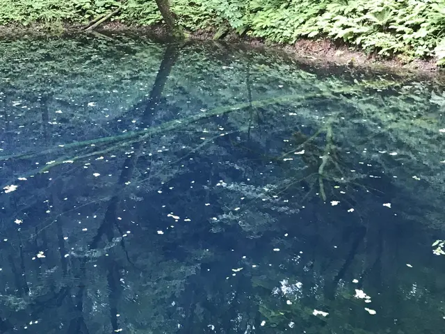 黄金崎不老ふ死温泉