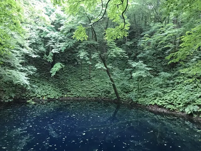 黄金崎不老ふ死温泉