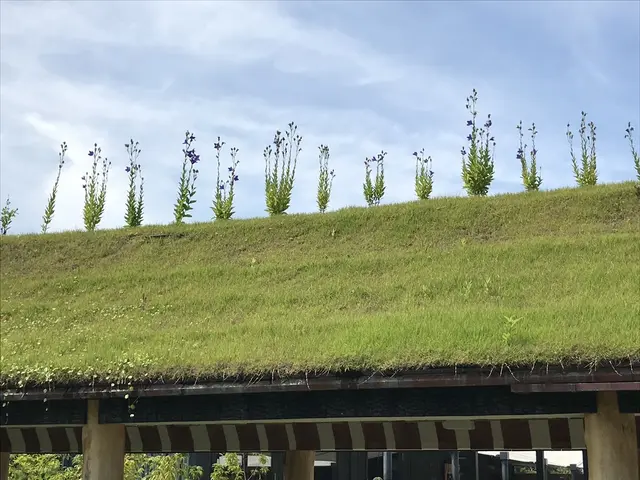 ラコリーナ近江八幡