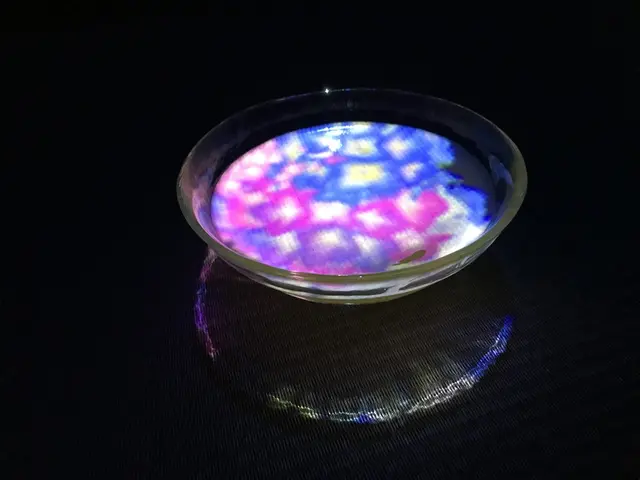 【閉業】森ビルデジタルアートミュージアム：エプソン チームラボボーダレス（MORI Building Digital Art Museum: EPSON teamLab Borderless）
