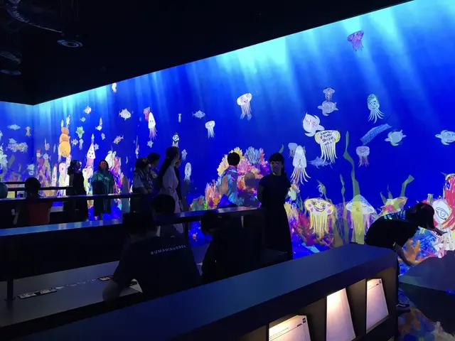 【閉業】森ビルデジタルアートミュージアム：エプソン チームラボボーダレス（MORI Building Digital Art Museum: EPSON teamLab Borderless）