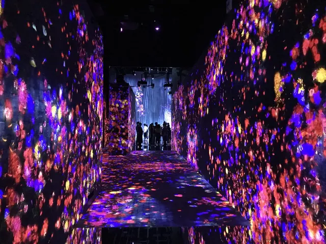 【閉業】森ビルデジタルアートミュージアム：エプソン チームラボボーダレス（MORI Building Digital Art Museum: EPSON teamLab Borderless）