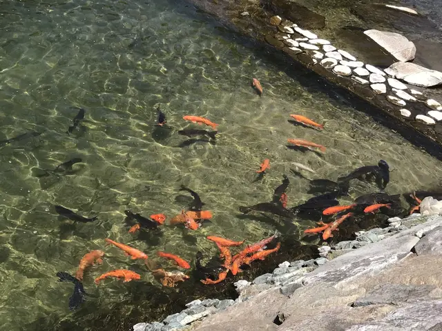宮川朝市