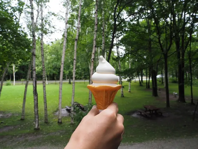 富良野チーズ工房