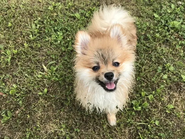 彩湖道満グリーンパーク