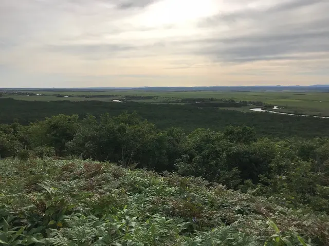 釧路湿原国立公園