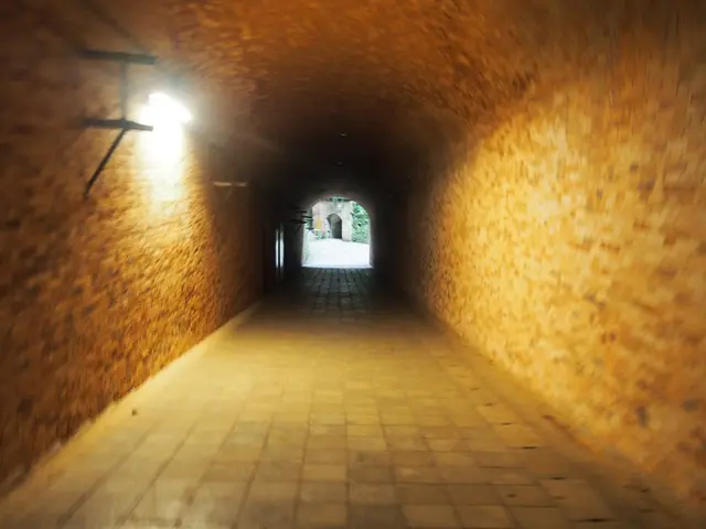 猿島