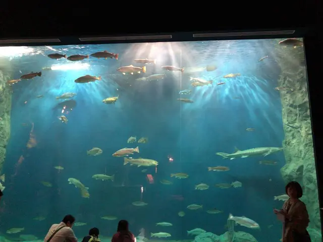 サケのふるさと 千歳水族館