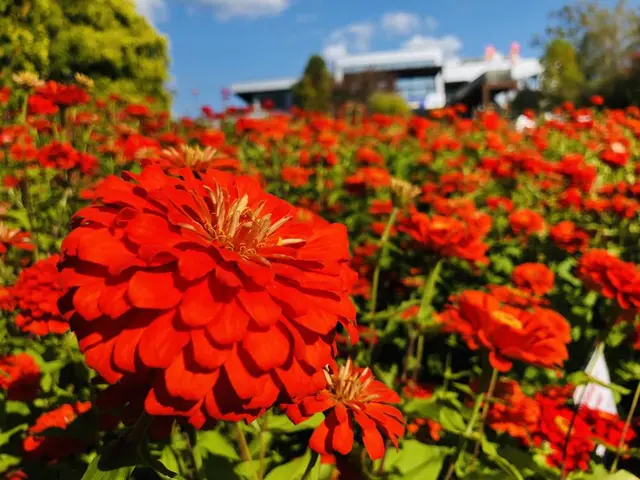 国営備北丘陵公園