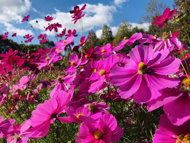 国営備北丘陵公園