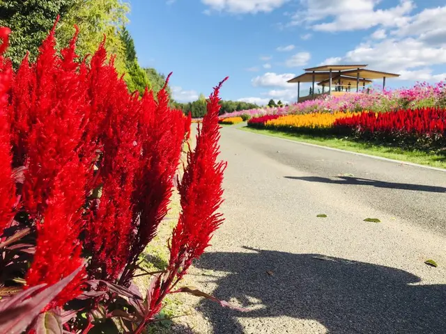 国営備北丘陵公園