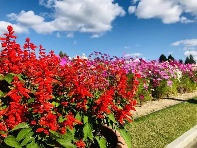 国営備北丘陵公園