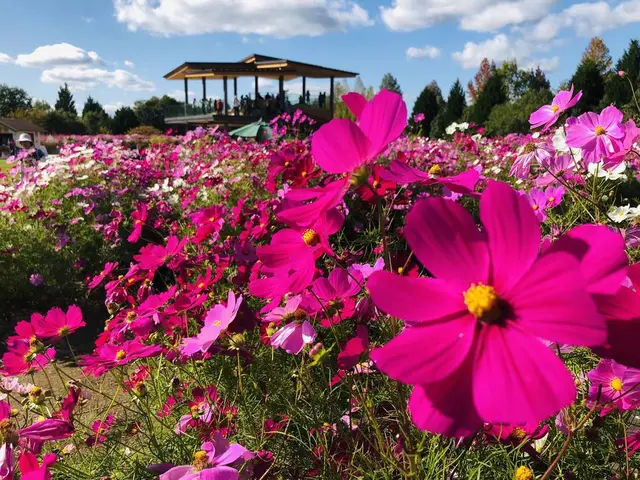 国営備北丘陵公園