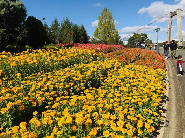 国営備北丘陵公園