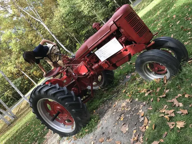 富良野チーズ工房