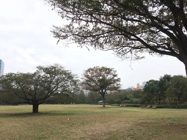 木場公園