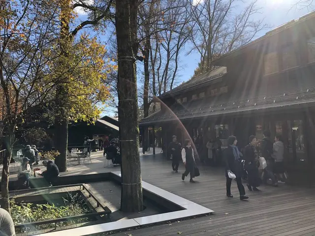 ハルニレテラス