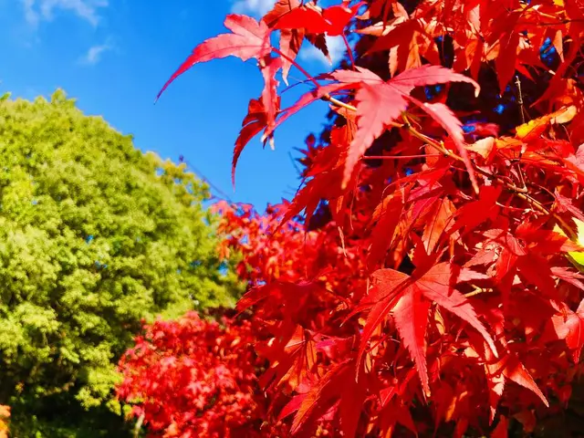 三景園