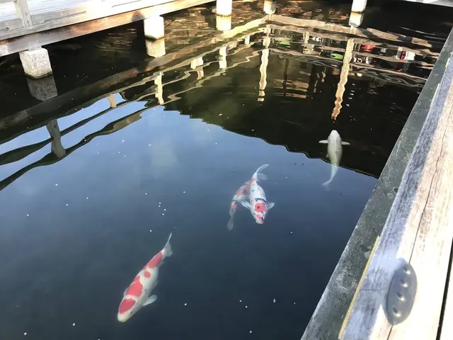 三景園