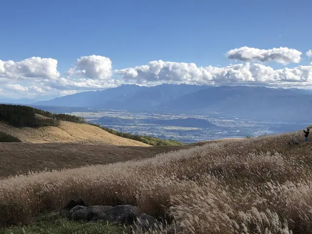 ビーナスライン