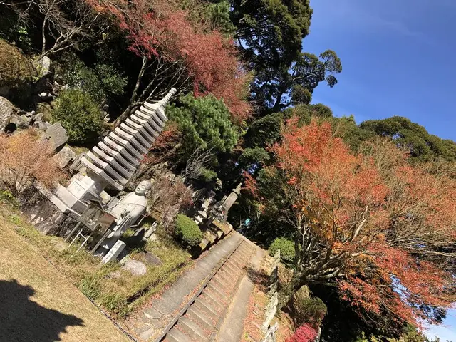 大悲王院の楓