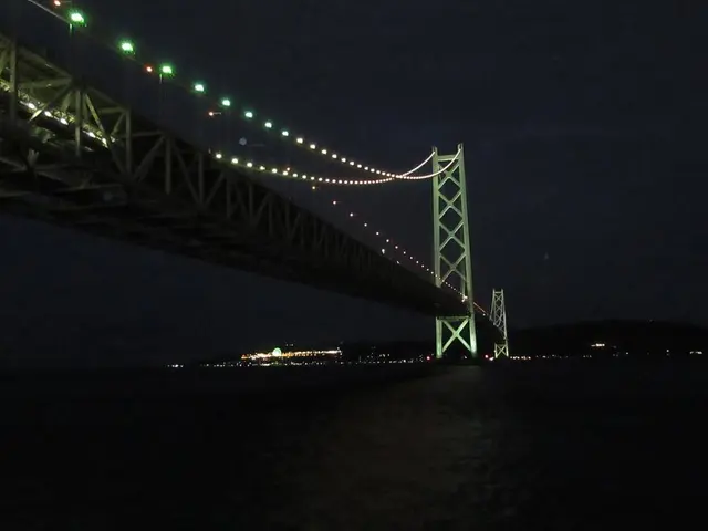 本家きむらや
