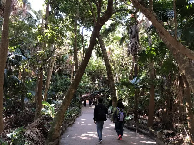 青島神社