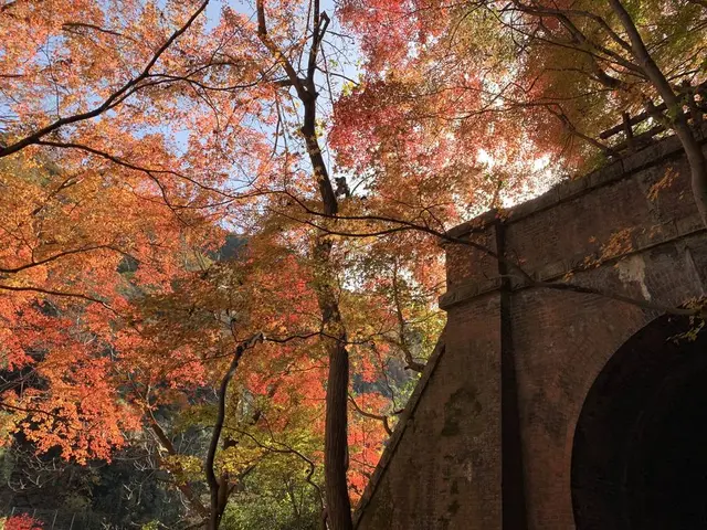 愛岐トンネル群