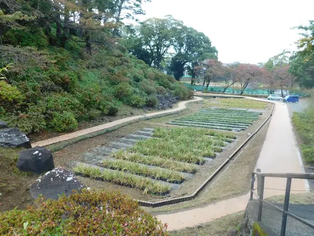 小田原城