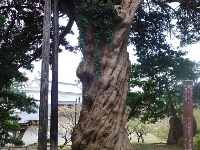 小田原城