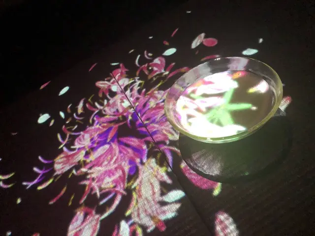 【閉業】森ビルデジタルアートミュージアム：エプソン チームラボボーダレス（MORI Building Digital Art Museum: EPSON teamLab Borderless）