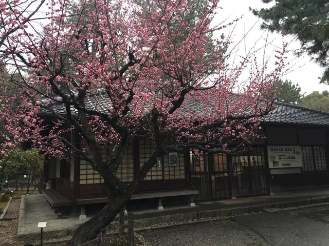 名古屋城