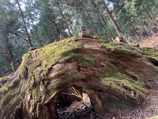 滝尾神社