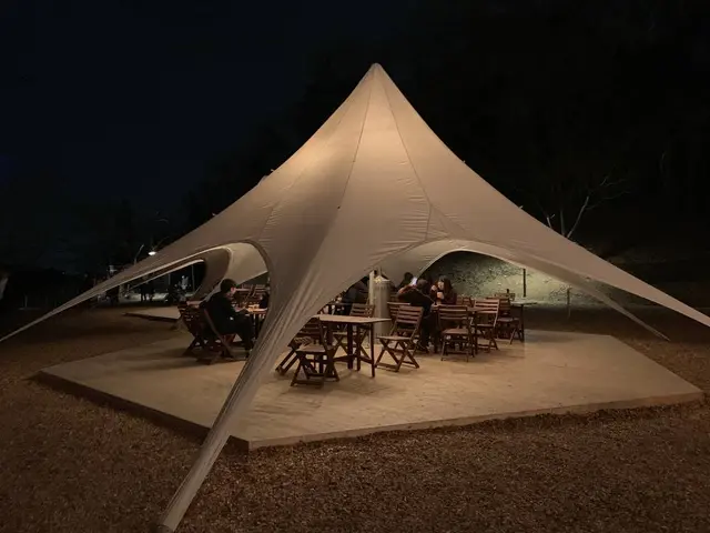 チームラボ  森と湖の光の祭