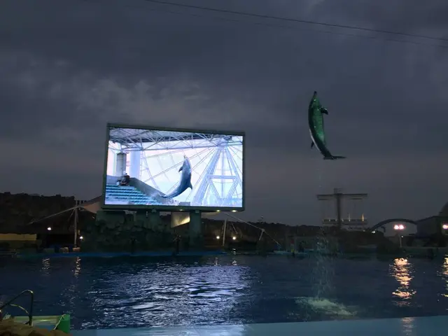 名古屋港水族館