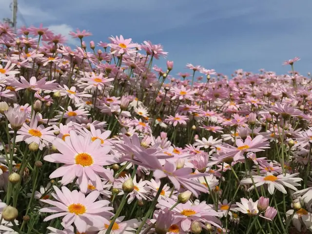 フラワーパーク浦島